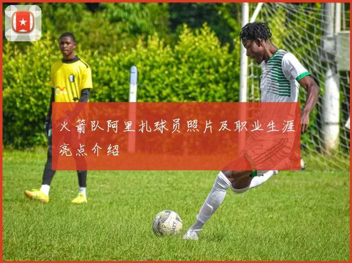 火箭队阿里扎球员照片及职业生涯亮点介绍