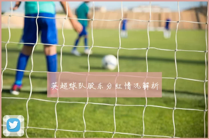 英超球队股东分红情况解析