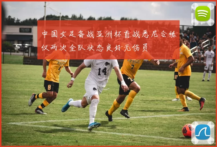 中国女足备战亚洲杯首战悉尼合练仅两次全队状态良好无伤员