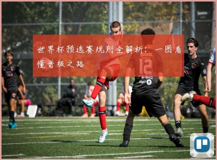 世界杯预选赛规则全解析：一图看懂晋级之路