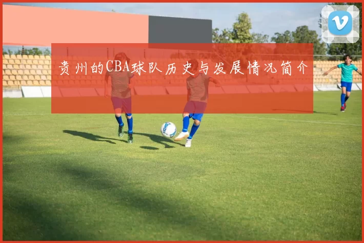 贵州的CBA球队历史与发展情况简介