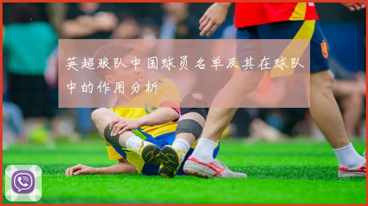 英超狼队中国球员名单及其在球队中的作用分析