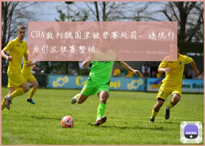 CBA裁判魏国梁被禁赛处罚，违规行为引发联赛整顿
