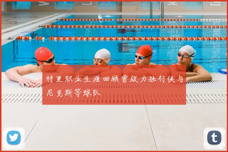 特里职业生涯回顾曾效力独行侠与尼克斯等球队