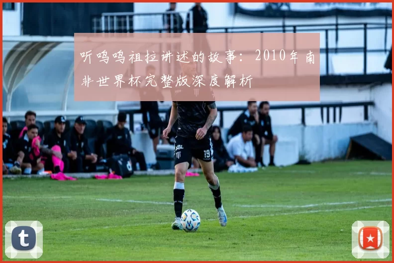 听呜呜祖拉讲述的故事:2010年南非世界杯完整版深度解析