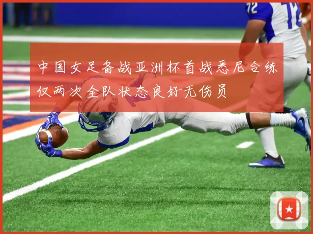 中国女足备战亚洲杯首战悉尼合练仅两次全队状态良好无伤员