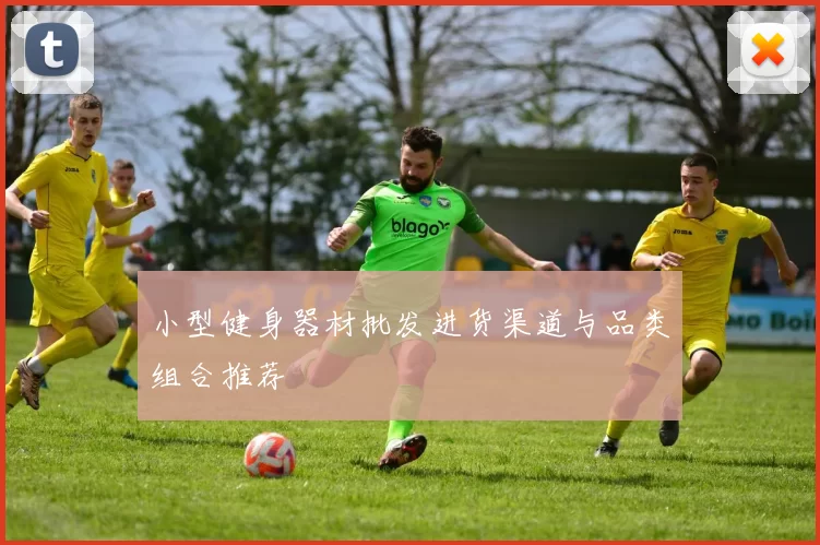 小型健身器材批发进货渠道与品类组合推荐