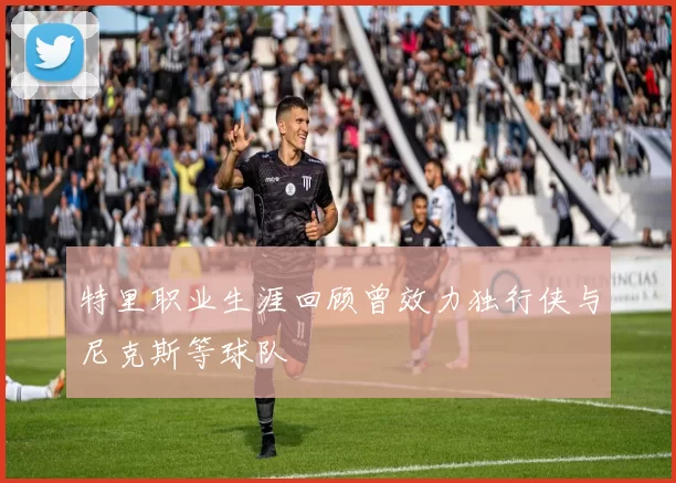 特里职业生涯回顾曾效力独行侠与尼克斯等球队
