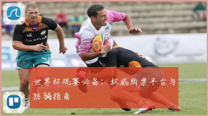 世界杯观赛必备：权威购票平台与防骗指南