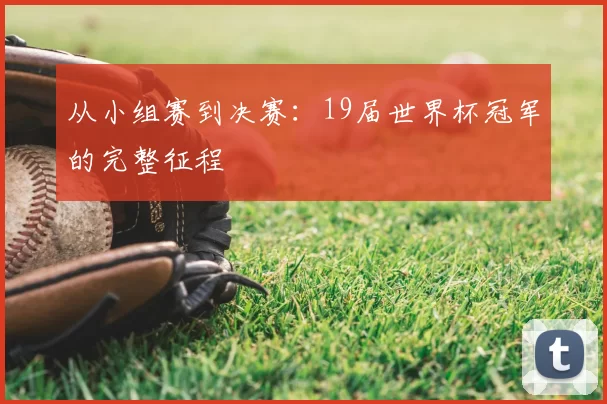 从小组赛到决赛：19届世界杯冠军的完整征程