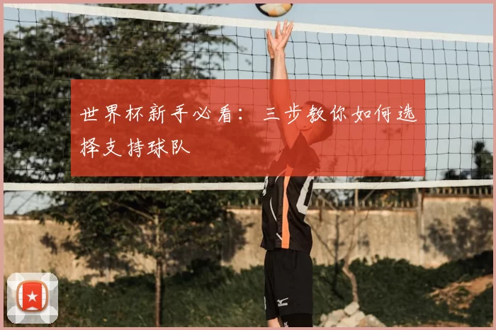 世界杯新手必看:三步教你如何选择支持球队