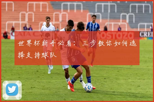 世界杯新手必看：三步教你如何选择支持球队