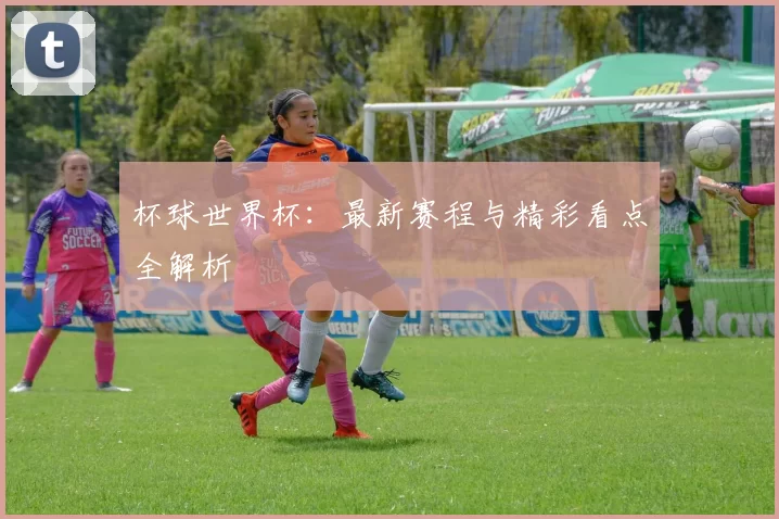 杯球世界杯:最新赛程与精彩看点全解析