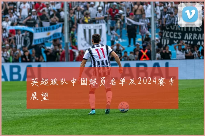 英超狼队中国球员名单及2024赛季展望