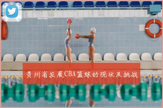 贵州省发展CBA篮球的现状及挑战