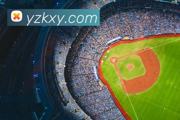 华体会体育平台生态图